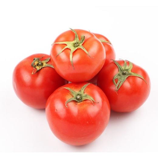 西红柿  500g【DD】 商品图0