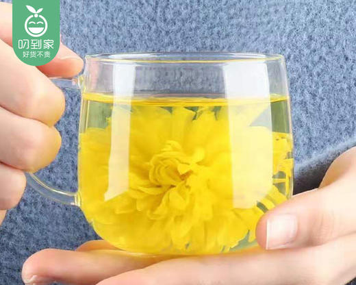 精选金丝皇菊礼盒（约30g/盒 30朵+配礼袋）生产日期: 1月 商品图2