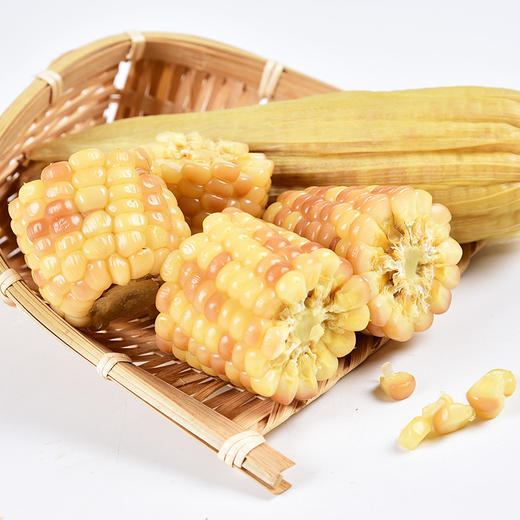 褚橙出品·西双版纳香糯小玉米 甜糯香浓 商品图3