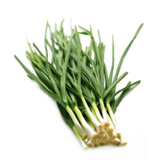 大蒜叶  500g【DD】 商品图0