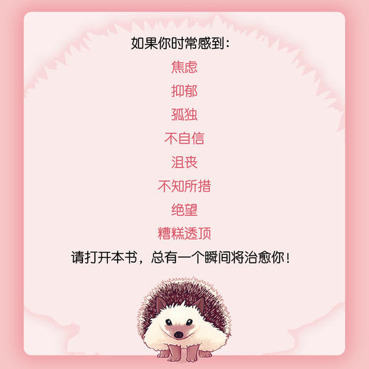 柔软的刺猬 自我疗愈的内在力量 商品图8