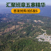 【5月5日15点-16点】【降价拍】【5饼装】【陈年孔雀青饼】2021年生产云南普洱生茶勐海500年古树茶饼3年陈料 商品缩略图1