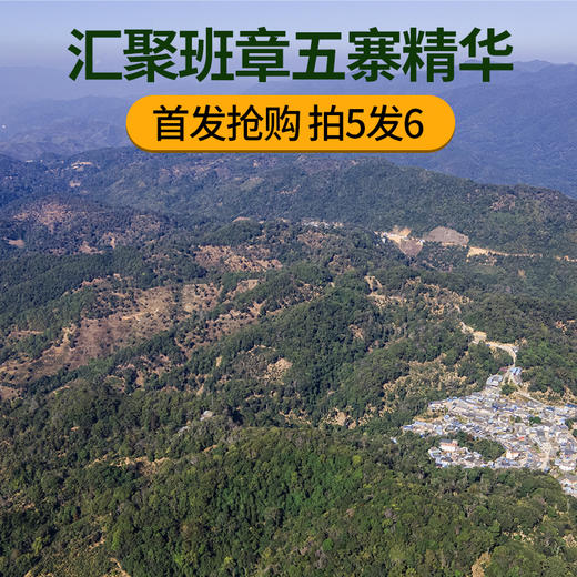 【5月5日15点-16点】【降价拍】【5饼装】【陈年孔雀青饼】2021年生产云南普洱生茶勐海500年古树茶饼3年陈料 商品图1