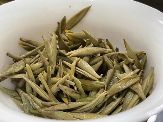 老树头采银针（2021春） 商品图6