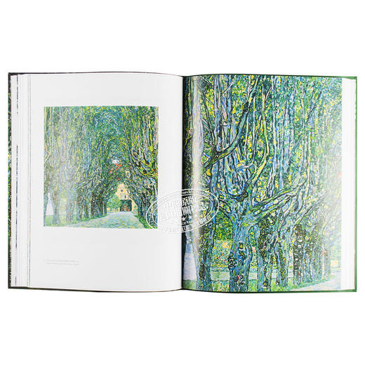 【中商原版】古斯塔夫·克里姆特：风景 英文原版 Gustav Klimt：Landscapes 商品图5