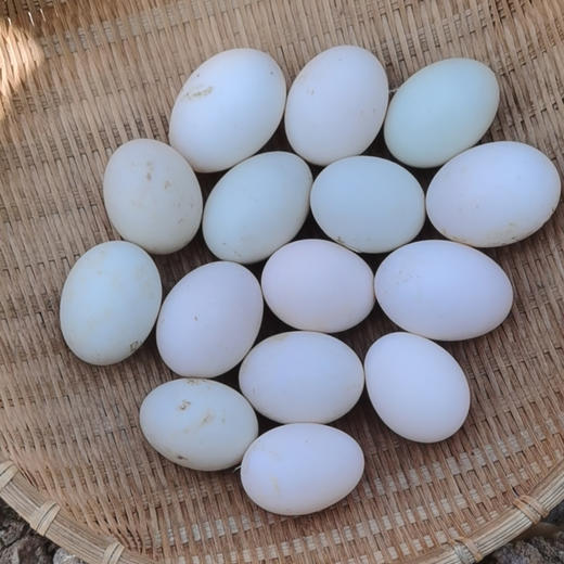 鸭蛋（20枚/盒） 商品图0