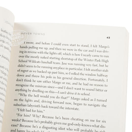 预售 Paper Towns 纸镇英文原版 John Green约翰格林电影原著小说书 小说英文版 商品图2