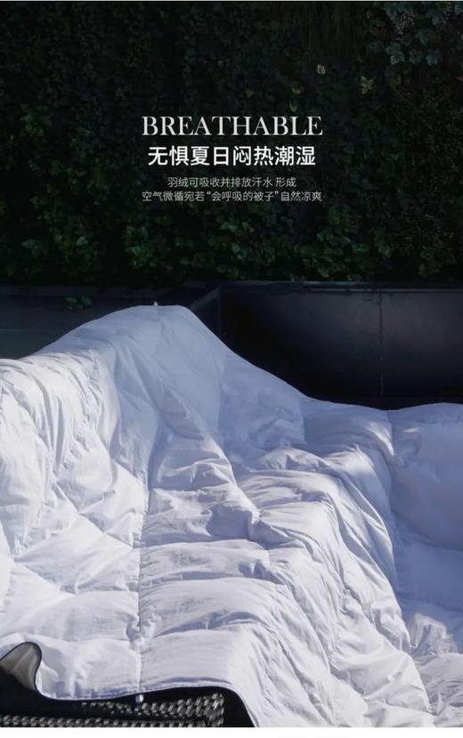 2023新款鹅绒被｜升级内里鹅绒克重！升级可水洗防绒抗菌磨毛面料！ 希尔顿酒店集团七星j。五星ji酒店yu用鹅绒被代工厂  中国鹅绒被龙tou企业 康浩集团 95白鹅绒被芯 羽绒被空调被冬被暖被 商品图9