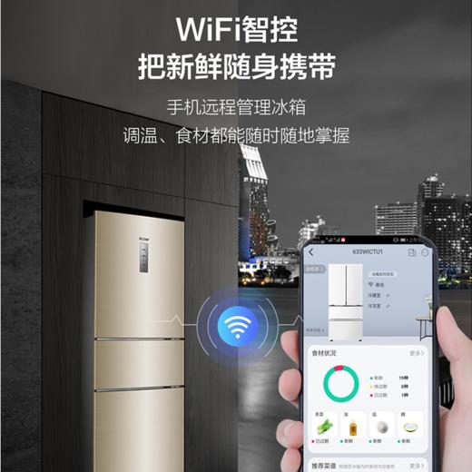 海尔（Haier）冰箱BCD-217WDVLU1 商品图7