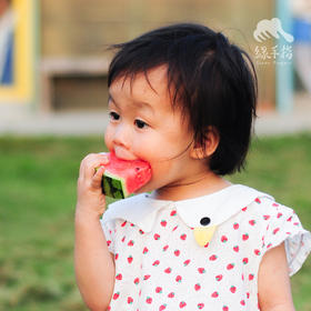 有机西瓜 | 绿家自产* Organic watermelon | Self-production