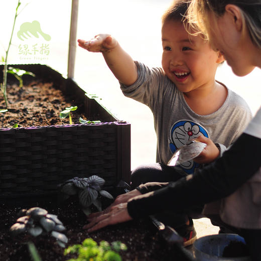 园艺·种植箱 | 公平贸易*Planting box | Fair-Trade 商品图0