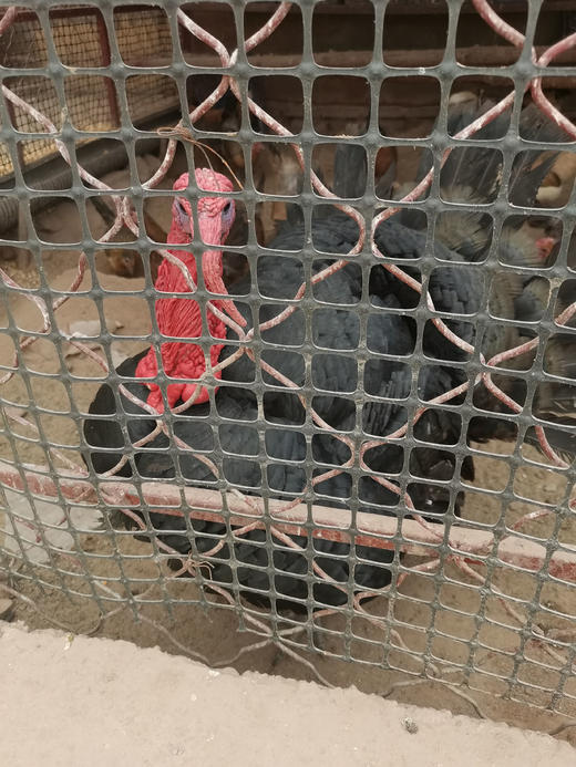 立景谷香苑2-3人无独立卫生间（适合一家人） 商品图1