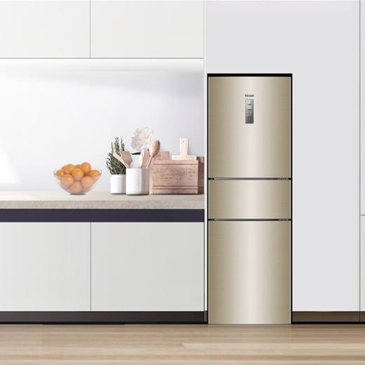 海尔（Haier）冰箱BCD-217WDVLU1 商品图10