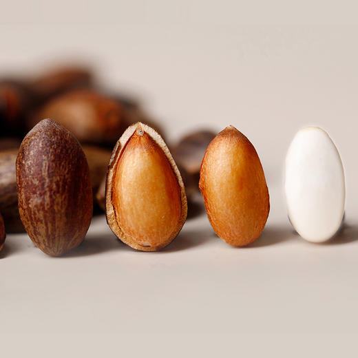 云南高原新鲜落水松   人工采摘  自然晾晒 松香味浓郁 松仁圆润饱满  纯天然自然美味 商品图7