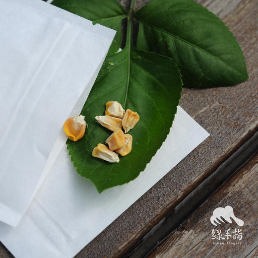种子·玉米 | 公平贸易 * Corn seeds | Fair Trade Items 商品图0
