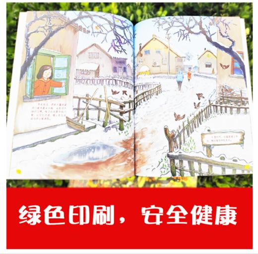 四季的变化:科普认知绘本(全4册) 商品图4