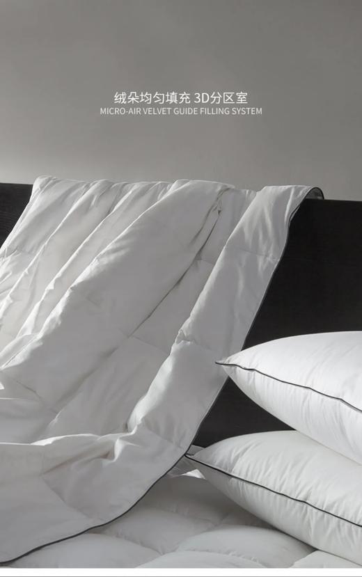 2023新款鹅绒被｜升级内里鹅绒克重！升级可水洗防绒抗菌磨毛面料！ 希尔顿酒店集团七星j。五星ji酒店yu用鹅绒被代工厂  中国鹅绒被龙tou企业 康浩集团 95白鹅绒被芯 羽绒被空调被冬被暖被 商品图11