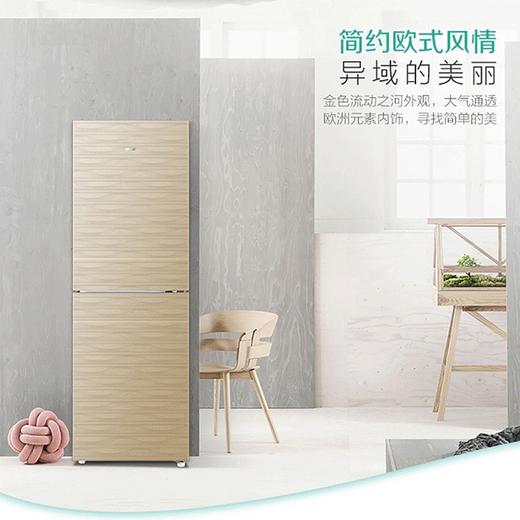 海尔（Haier）冰箱BCD-221WDGQ 商品图1