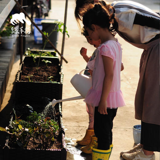 园艺·种植箱 | 公平贸易*Planting box | Fair-Trade 商品图1