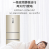 海尔（Haier）冰箱BCD-217WDVLU1 商品缩略图2