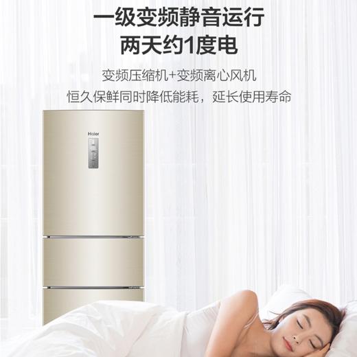 海尔（Haier）冰箱BCD-217WDVLU1 商品图2