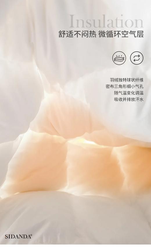 2023新款鹅绒被｜升级内里鹅绒克重！升级可水洗防绒抗菌磨毛面料！ 希尔顿酒店集团七星j。五星ji酒店yu用鹅绒被代工厂  中国鹅绒被龙tou企业 康浩集团 95白鹅绒被芯 羽绒被空调被冬被暖被 商品图10