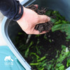 园艺·堆肥桶 | 公平贸易 * Compost bucket | Fair-Trade 商品缩略图5