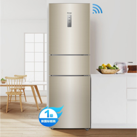 海尔（Haier）冰箱BCD-217WDVLU1