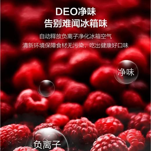 海尔（Haier）冰箱BCD-217WDVLU1 商品图6