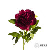 【山东仓现货】芍药顺丰空运包邮 | 红色魅力 商品缩略图3