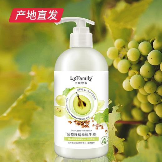 【小琳家族】葡萄籽洗手液 450ml/瓶 厂家直发 商品图0