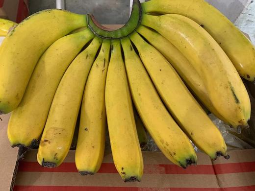 99元/斤】香甜新鲜香蕉芝麻蕉