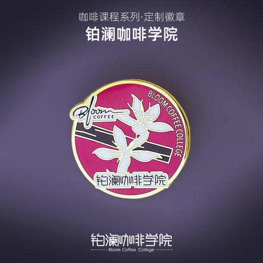 铂澜原创学院胸牌咖啡打工人胸针咖啡师徽章别针创意个性珐琅合金 商品图1
