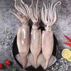 【顺丰包邮】青岛大鱿鱼—新鲜冷冻4斤装 商品缩略图0