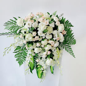 「启阳春」-白绿色讲台花