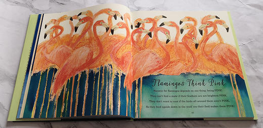 ☆直播专享【宝莉爹书单 3-10岁】 超美英文诗集 A First Book of Animals/Nature/Sea 动物自然海洋主题 英文诗集绘本 商品图6