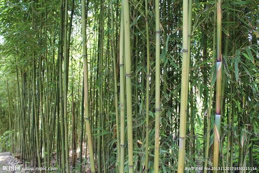 女巫专栏 商品图0