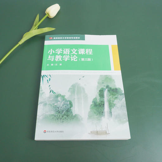 小学语文课程与教学论 第3版 小学教育专业教材 课程性质课程标准教育文化课程资源教材建设教育智慧 商品图1