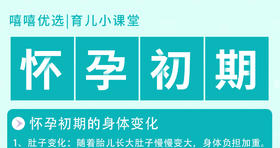 怀孕初期 