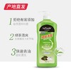 【小琳家族】绿茶洗洁精套装 1.3L/瓶 厂家直发 商品缩略图1