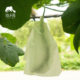 园艺·瓜果套袋 | 公平贸易 * Fruit Bagging | Fair-Trade