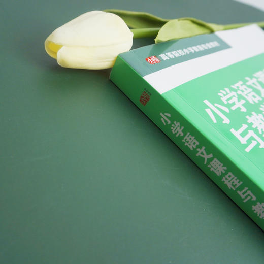 小学语文课程与教学论 第3版 小学教育专业教材 课程性质课程标准教育文化课程资源教材建设教育智慧 商品图2