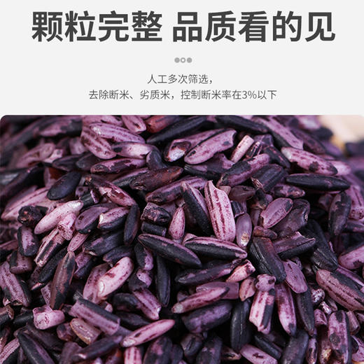 云南特产紫米糯米新米1kg五谷粗粮杂粮饱腹血糯米 商品图3