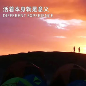  斯坦福大学荣誉教授揭露：孩子的“生存力”，才是教育的最大目的 