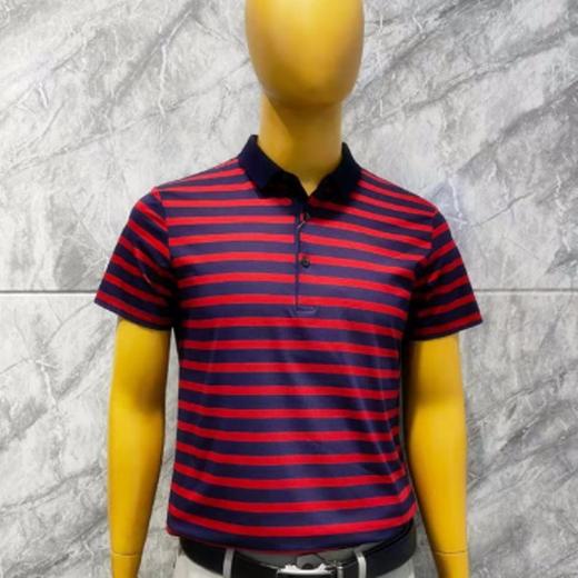 南4卡丹狄诺夏季短袖POLO衫385276 商品图0
