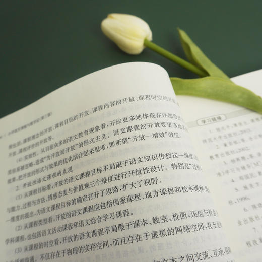 小学语文课程与教学论 第3版 小学教育专业教材 课程性质课程标准教育文化课程资源教材建设教育智慧 商品图3