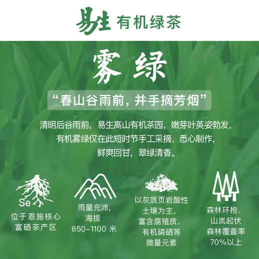 易生有机绿茶 商品图6