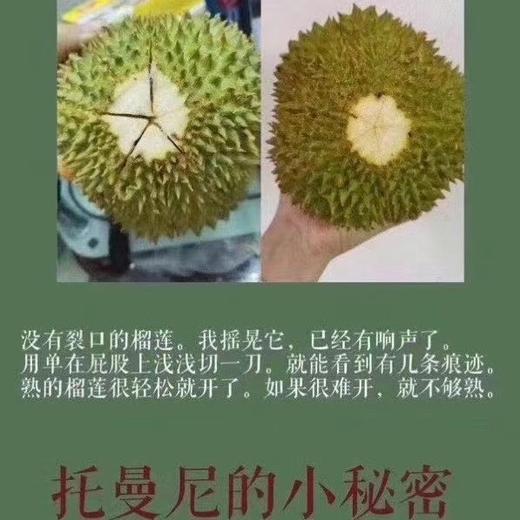 泰国猫山王托曼尼榴梿2-3斤/3-4斤（包4房/保留快递面单） 商品图14