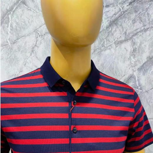南4卡丹狄诺夏季短袖POLO衫385276 商品图2