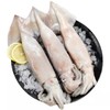 【顺丰包邮】青岛大鱿鱼—新鲜冷冻4斤装 商品缩略图1